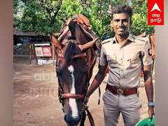 Police Suicide News : சீருடையிலேயே காவலர் தற்கொலை.. சென்னையில் அதிர்ச்சி.. பின்னணி என்ன?