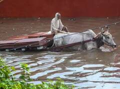 Weather Update: વરસાદથી ઉત્તર ભારતમાં તબાહી, ઉત્તરાખંડ, બિહાર સહિત આ રાજ્યોમાં ક્યારે થશે વરસાદ ? જાણો હવામાન વિભાગનું અપડેટ