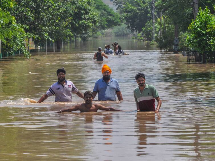 Haryana: Man Electrocuted While Crossing Waterlogged Street In Ambala, 3 Bodies Found Floating Haryana: Man Electrocuted While Crossing Waterlogged Street In Ambala, 3 Bodies Found Floating