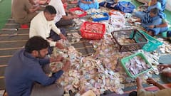 Ambabai Mandir : करवीर निवासिनी श्री अंबाबाईला भाविकांकडून भरभरून दान