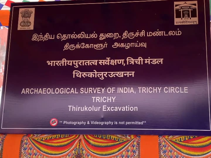 Adichanallur Excavation: திருக்கோளூர் அகழாய்வில் 324 தொல் பொருட்கள் கண்டெடுப்பு - என்னென்ன கிடைத்தது..?