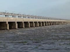 Amaravati dam: மழை குறைவால் அமராவதி அணையில் தண்ணீர் வரத்து குறைப்பு