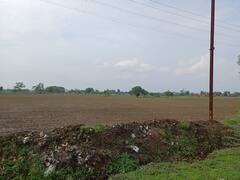 प्रधानमंत्री फसल बीमा योजना को लेकर बड़ा अपडेट, मध्य प्रदेश में किसान 31 जुलाई तक करा सकेंगे फसलों का बीमा