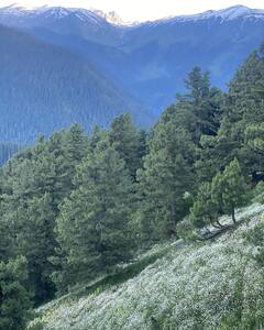 Sai Pallavi Enjoys Some Vacation Time In The Hills; Shares Adorable Clicks