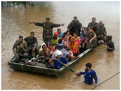 हरियाणा-पंजाब में बारिश का कहर, अब तक 15 की मौत, 9 हजार लोगों का रेस्क्यू, बिजली-पानी के लिए त्राहिमाम