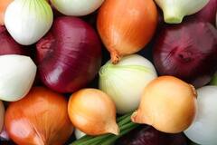 ਗਰਮੀਆਂ ਦੇ ਮੌਸਮ 'ਚ ਚਿੱਟਾ ਪਿਆਜ਼ ਖਾਣ ਨਾਲ ਮਿਲਦੇ ਨੇ ਸਰੀਰ ਨੂੰ ਕਈ ਸਾਰੇ ਫ਼ਾਇਦੇ