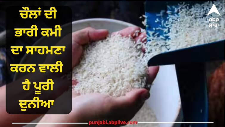 The world is going to face the shortage of rice, there are many reasons for this Rice Crisis : ਚੌਲਾਂ ਦੀ ਕਮੀ ਦਾ ਸਾਹਮਣਾ ਕਰਨ ਵਾਲੀ ਹੈ ਪੂਰੀ ਦੁਨੀਆ, ਜਾਣੋ ਇਸ ਦਾ ਕਾਰਨ