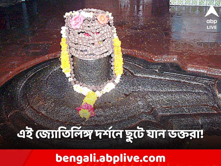 Shiva Temple in India shiv jyotirlinga interesting facts history Shiva Temple: এই জ্যোতির্লিঙ্গ দর্শনে জীবনের সব দুর্ভোগ কাটে! দেশের বিখ্যাত মন্দিরের টানেই ছুটে যান ভক্তরা