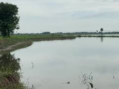 Heavy Rain: भारी बारिश के चलते गंगा-यमुना नदी उफान पर, निचले इलाकों पर मंडराया बाढ़ का खतरा, देखें- तस्वीरें