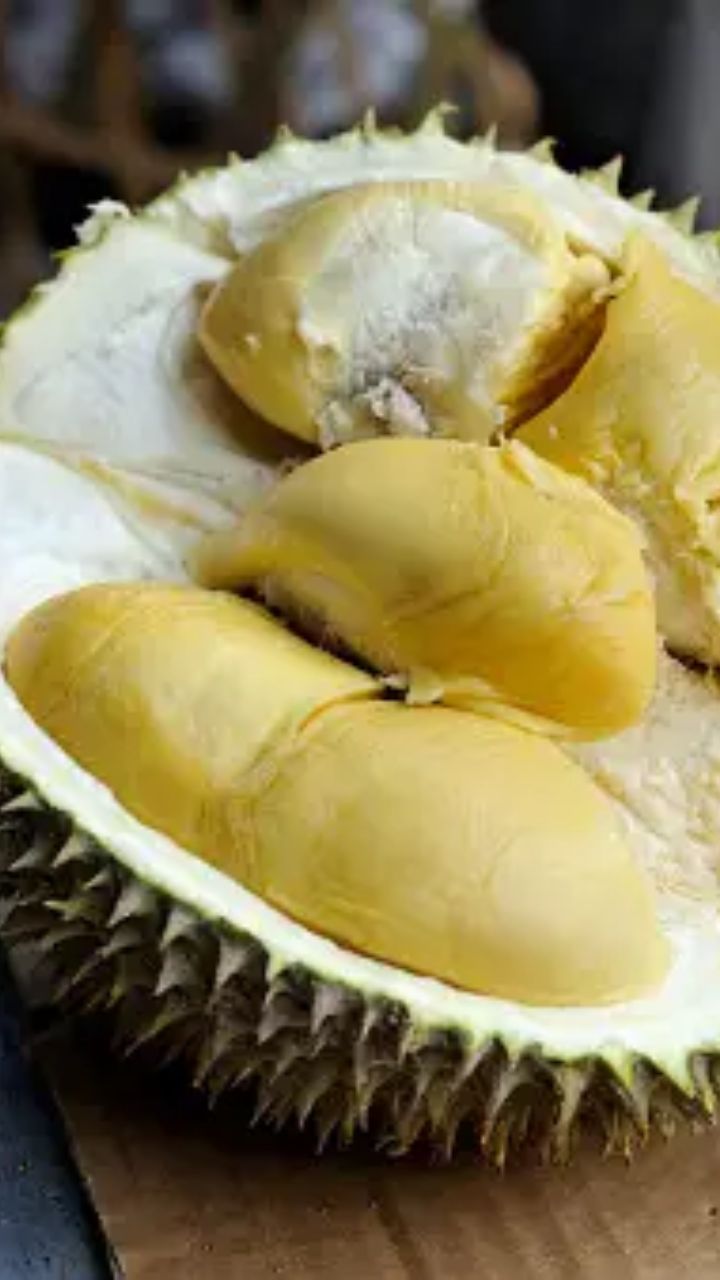 எலும்பு ஆரோக்கியத்திற்கு உதவும்