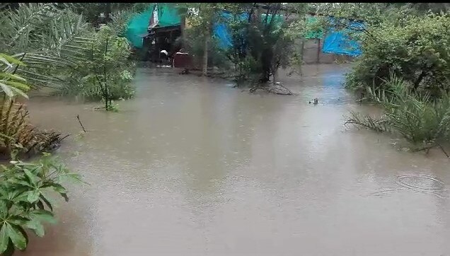 Gujarat Monsoon: મેઘાના ત્રીજા રાઉન્ડની તૈયારી, અમરેલી-જુનાગઢમાં વરસાદ
