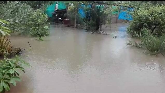 Rains in Amreli, Botad and Valsad, flooded houses in Malvan village Gujarat Rain: બપોર બાદ રાજ્યના અનેક વિસ્તારોમાં વરસાદ શરુ, આ ગામમાં ઘરોમાં ભરાયા પાણી