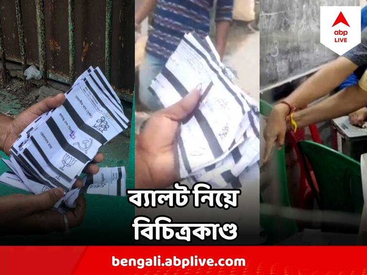 Panchayat Poll Result TMC Candidate allegedly Chews ballot papers, ballot thrown to pond,  counting day of Bengal panchayat polls Panchayat Poll Result 2023 :  বিচিত্রকাণ্ড ! কোথাও ব্যালট পুকুরে, কোথাও কালি, কোথাও ব্যালট মুখে পুরলেন তৃণমূল প্রার্থী