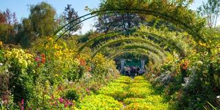 Weird News: ਦੁਨੀਆ ਦਾ ਇੱਕ ਅਜਿਹਾ ਬਗੀਚਾ ਜਿੱਥੇ ਜਾਂਦੇ ਹੀ ਲੋਕ ਹੋਣ ਲੱਗਦੇ ਹਨ ਰੋਮਾਂਟਿਕ, ਰੁੱਖਾਂ ਤੋਂ ਆਉਂਦੀ ਹੈ ਪਿਆਰ ਦੀ ਮਹਿਕ