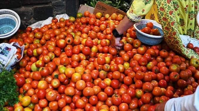 Tomatoes From Andhra, Karnataka, Maharashtra Tomato Price: ટામેટાના વધતા ભાવ વચ્ચે કેન્દ્રએ લીધો મોટો નિર્ણય, ગ્રાહકોને મળશે રાહત