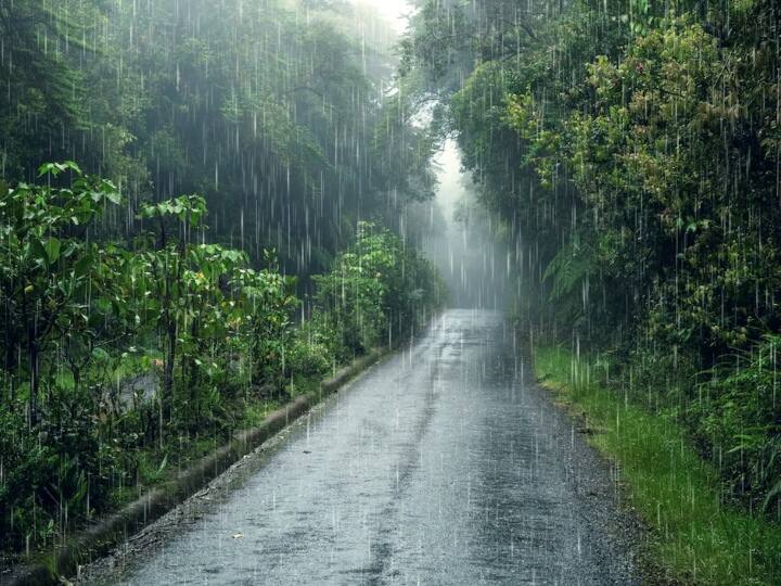 बारिश के कम-ज्यादा होने का पता कैसे चलता है? कौन-सा है वो मीटर जिससे नापा जाता है कि इस बार कितनी हुई? How to Measure Rain Which is meter by which it is measured that how much raining बारिश के कम-ज्यादा होने का पता कैसे चलता है? कौन-सा है वो मीटर जिससे नापा जाता है कि इस बार कितनी हुई?