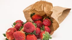 World Paper Bag Day:পেপারব্যাগের দিন? কোথা থেকে এল ওয়ার্ল্ড পেপারব্যাগ ডে?