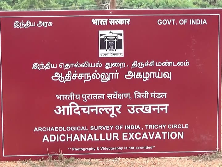 Adichanallur Excavation: திருக்கோளூர் அகழாய்வில் 324 தொல் பொருட்கள் கண்டெடுப்பு - என்னென்ன கிடைத்தது..?