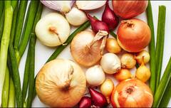 ਗਰਮੀਆਂ ਦੇ ਮੌਸਮ 'ਚ ਚਿੱਟਾ ਪਿਆਜ਼ ਖਾਣ ਨਾਲ ਮਿਲਦੇ ਨੇ ਸਰੀਰ ਨੂੰ ਕਈ ਸਾਰੇ ਫ਼ਾਇਦੇ