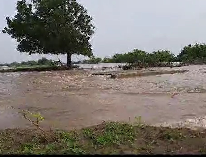 Rain Update: મેઘરાજાએ ભાવનગર જિલ્લાને ઘમરોળ્યું, ભાણગઢ ગામ ફરી સંપર્ક વિહોણું