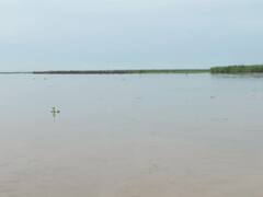 Heavy Rain: भारी बारिश के चलते गंगा-यमुना नदी उफान पर, निचले इलाकों पर मंडराया बाढ़ का खतरा, देखें- तस्वीरें