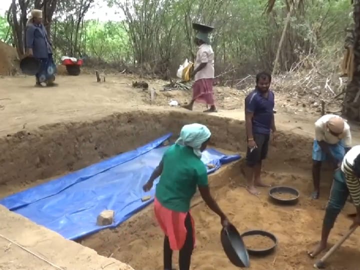 Adichanallur Excavation: திருக்கோளூர் அகழாய்வில் 324 தொல் பொருட்கள் கண்டெடுப்பு - என்னென்ன கிடைத்தது..?