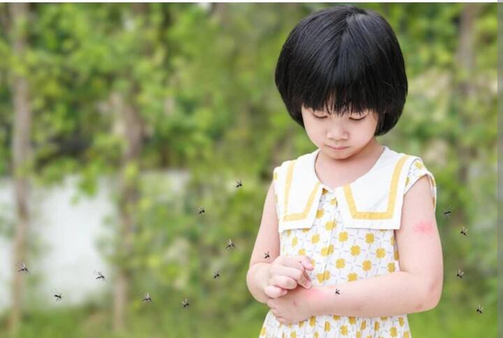 बरसात के मौसम में भूल से भी अपने बच्चे को बाहर खेलने ना जाने दें. क्योंकि कई क्षेत्रों में पानी जमा हो जाता है जो डेंगू फैलाने वाले मच्छरों के लिए उनका घर बन जाता है. अगर किसी जरूरत के लिए घर से बाहर जाना पड़ रहा है तो सुनिश्चित करें कि आपके बच्चे ने पर्याप्त रूप से कपड़े पहने हैं .