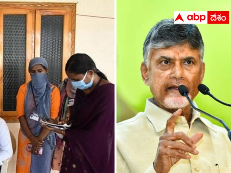 Chandrababu commented that there is a big danger with the behavior of the volunteers. Chandrababu on volunteers : వాలంటీర్లతో పెను ప్రమాదం - రాజకీయాల్లో జోక్యం చేసుకుంటే కుదరదన్న చంద్రబాబు!