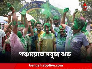 Panchayat Election Results : পঞ্চায়েতে সবুজ ঝড়, ২০ টি জেলা পরিষদই ফের তৃণমূলের দখলে, ঝুলিতে ৫১ শতাংশ