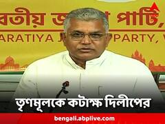 'ভোট লুঠের শেষ চেষ্টাতেই হিংসা, মৃত্যু' পুলিশকে কাঠগড়ায় তুলে বিস্ফোরক দিলীপ