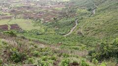 Saptshrungi Gad : सप्तशृंगी गड घाटात भीषण अपघात; बस थेट 400 फूट दरीत कोसळली, पाहा अपघाताचे फोटो