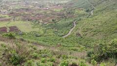 Saptshrungi Gad : सप्तशृंगी गड घाटात भीषण अपघात; बस थेट 400 फूट दरीत कोसळली, पाहा अपघाताचे फोटो