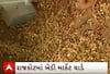 Rajkot Yard Updates| મગફળીનો ભાવ ઓલ ટાઈમ હાઈ, જાણો પ્રતિ મણ કેટલા બોલાયા ભાવ?