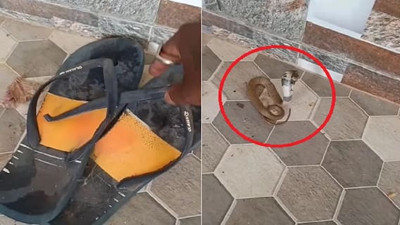Viral Video: ਚੱਪਲ ਦੇ ਹੇਠਾਂ ਲੁਕਿਆ ਹੋਇਆ ਸੀ ਖ਼ਤਰਨਾਕ ਕੋਬਰਾ, ਹਟਾਉਂਦੇ ਹੀ ਫੈਲਾ ਦਿੱਤਾ ਫਨ, ਹੋਸ਼ ਉੱਡਾ ਦੇਵੇਗੀ ਵੀਡੀਓ