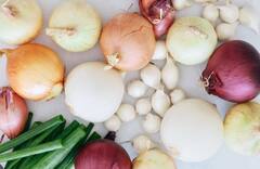 ਗਰਮੀਆਂ ਦੇ ਮੌਸਮ 'ਚ ਚਿੱਟਾ ਪਿਆਜ਼ ਖਾਣ ਨਾਲ ਮਿਲਦੇ ਨੇ ਸਰੀਰ ਨੂੰ ਕਈ ਸਾਰੇ ਫ਼ਾਇਦੇ