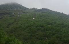 Saptshrungi Gad : सप्तशृंगी गड घाटात भीषण अपघात; बस थेट 400 फूट दरीत कोसळली, पाहा अपघाताचे फोटो