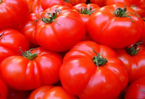 Tomato Side Effects : ਟਮਾਟਰ ਦਾ ਮਜ਼ਾਜ ਇਨ੍ਹੀਂ ਦਿਨੀਂ ਕਾਫੀ ਲਾਲ ਹੈ। ਕੀਮਤਾਂ ਅਸਮਾਨ ਨੂੰ ਛੂਹ ਰਹੀਆਂ ਹਨ ਤੇ ਬਹੁਤ ਸਾਰੇ ਲੋਕਾਂ ਦੀ ਥਾਲੀ ਤੋਂ ਟਮਾਟਰ (Tomato) ਗਾਇਬ ਹੋ ਗਿਆ ਹੈ। ਹਾਲਾਂਕਿ ਜਦੋਂ ਟਮਾਟਰ ਸਸਤੇ ਹੁੰਦੇ ਹਨ ਤਾਂ ਇਸ ਦੀ ਵਰਤੋਂ ਹਰ ਸਬਜ਼ੀ ਦੇ ਨਾਲ ਕੀਤੀ ਜਾਂਦੀ ਹੈ। ਲੋਕ ਇਸ ਨੂੰ ਚਟਨੀ ਤੇ ਹੋਰ ਕਈ ਚੀਜ਼ਾਂ ਬਣਾ ਕੇ ਖਾਂਦੇ ਹਨ।