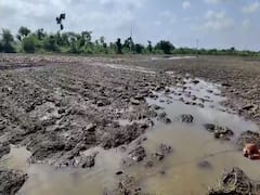 यवतमाळ: शेतकऱ्यांवर अस्मानी संकट, ढगफुटी सदृश्य पावसाने बळीराजाचे स्वप्न गेले वाहून; पाहा फोटो