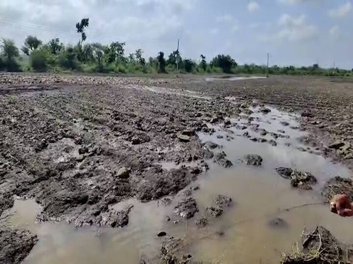 नेर तालुक्यातील ढगफुटी सदृश्य पाऊस कोसळला. गेल्या तीस वर्षात इतका पाऊस गावात पडला नव्हता.