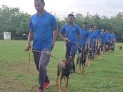 नक्सलियों से लोहा लेने के लिए दुर्ग में विशेष प्रजाति के 9 डॉग्स को दी जा रही ट्रेनिंग, जानिए इनकी खासियत