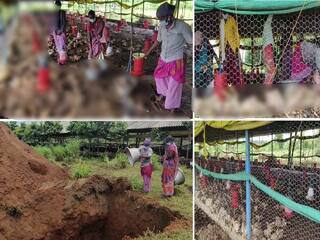 விழுப்புரத்தில் கனமழை... 3 ஆயிரம் கோழிகள் நீரில் மூழ்கி உயிரிழப்பு