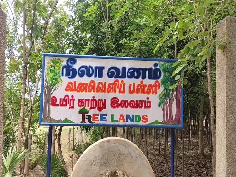 Mayiladuthurai school in the middle of the forest is interesting near Sirkazhi TNN உயிர் காற்று இலவசம் - கொள்ளிடத்தில் ஆச்சரியப்படுத்தும் தனியார் பள்ளி