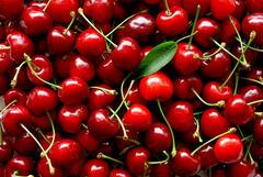 Cherry Benefits: તણાવ દૂર કરવાની સાથે સ્કિનને ગ્લોઇંગ કરે છે ચેરી, સેવનના જાણો અન્ય ફાયદા