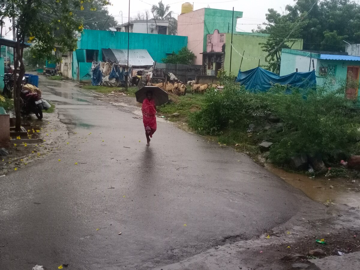 TN Rains: திருவண்ணாமலை மாவட்டத்தில் வெளுத்து வாங்கிய மழை  - மகிழ்ச்சியில் விவசாயிகள்