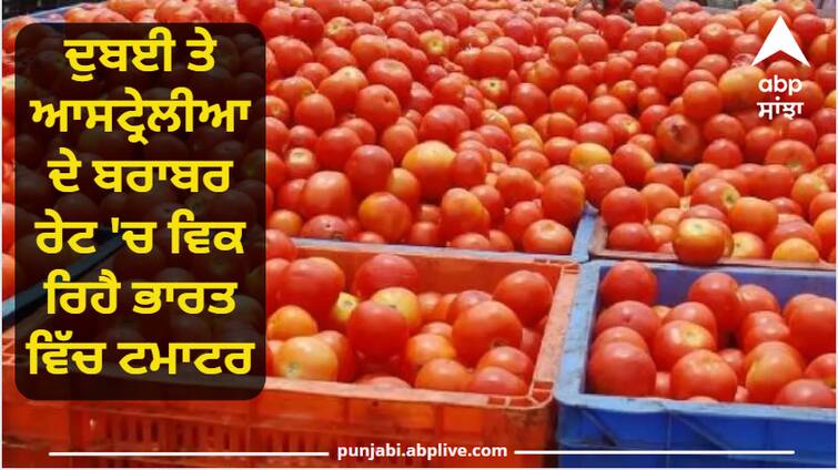 Tomato is being sold in India at the same rate as Dubai and Australia know why the rate has increased ਦੁਬਈ ਤੇ ਆਸਟ੍ਰੇਲੀਆ ਦੇ ਬਰਾਬਰ ਰੇਟ 'ਚ ਵਿਕ ਰਿਹੈ ਭਾਰਤ ਵਿੱਚ ਟਮਾਟਰ, ਜਾਣੋ ਕਿਉਂ ਵਧਿਆ ਭਾਅ