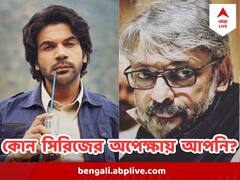 'মির্জাপুর' থেকে শুরু করে 'হীরামান্ডি', সিনেপ্রেমীদের জন্য় অপেক্ষা করছে একাধিক  সিরিজ