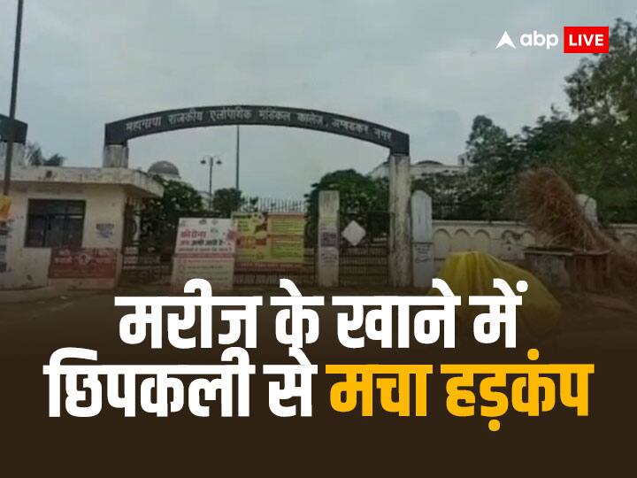lizard in Mahamaya Govt Medical College Ambedkar Nagar food Akhilesh Yadav attack health minister ANN Ambedkar Nagar News: महामाया मेडिकल कॉलेज के खाने में निकली छिपकली, अखिलेश यादव ने स्वास्थ्य मंत्री को घेरा