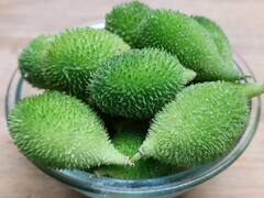 Kantola: सेहत का खजाना है ये हरे रंग की सब्जी, कई रोगों की कर सकती है छुट्टी