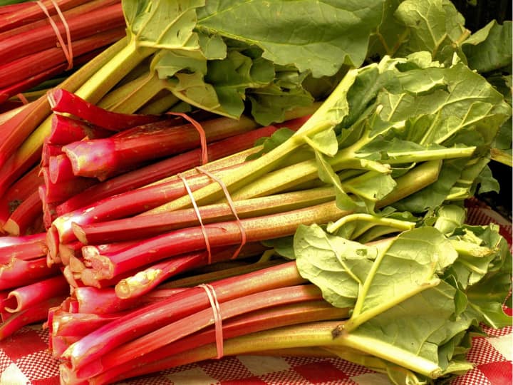 Rhubarb Herb Health Benefits Advantages Of Revand Chini In Hindi कई गंभीर बीमारियों का खात्मा कर सकती है हिमालय की ये जड़ी-बूटी, बस आपको ऐसे करना है इस्तेमाल