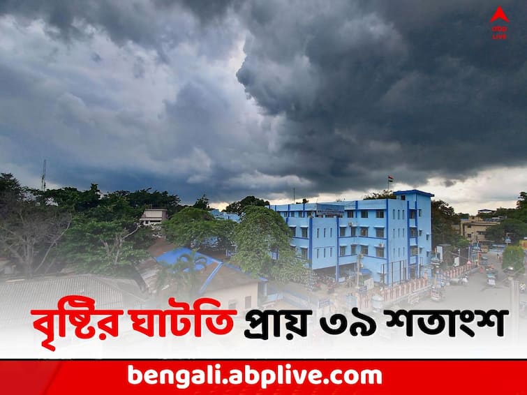 Weather Update: Rainfall deficit is around 39 percent , weather office has predicted rain in the next 24 hours Weather Update: দক্ষিণবঙ্গে বৃষ্টির ঘাটতি প্রায় ৩৯ শতাংশ, অস্বস্তি থেকে মুক্তি কবে ? জানাল হাওয়া অফিস